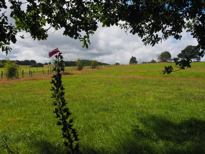 Ferme de la Planche (barefoot path) (België)